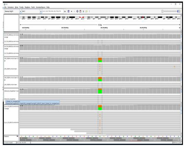 Clonal-line으로부터 얻은 WGS에서 돌연변이 검출의 예. 단일세포로부터 proliferation 한 homogeneous한 유전체의 분석이어서 noise 없이 강한 돌연변이 signal이 있는 것을 확인할 수 있음