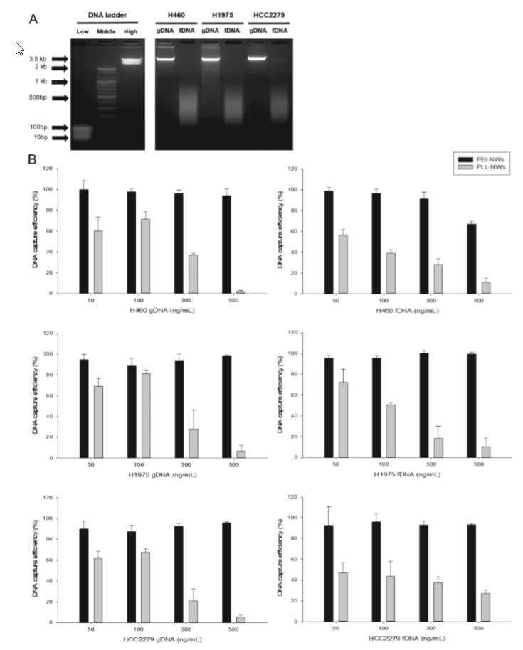 두종류의 양이온이 결합된 나노와이어를 사용하여 DNA capture efficiency를 연구함