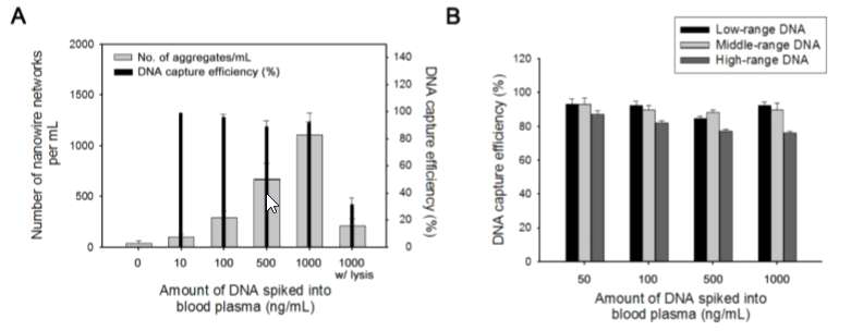 A. DNA 농도별로 15um 길이의 나노와이어를 사용하여 검출 효율 및 aggregate form의 형성을 확인함. B. DNA의 크기별로 검출효율을 확인함