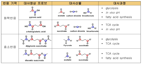 다중 대사영상 프로브 모델과 그에 따른 대사산물 및 대사과정