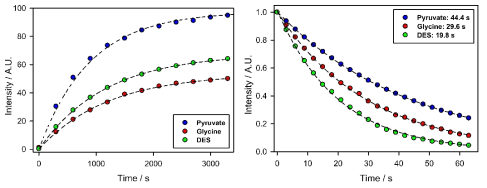 고체상태에서 대사산물 자기공명 조영제의 신호증폭 현상 및 액체상태에서의 polarization decay time constant 측정