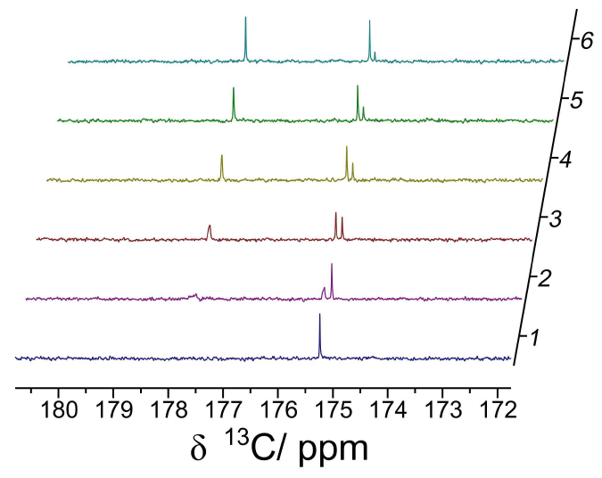 DES와 esterase 효소의 시간에 따른 변화 13C NMR Spectrum