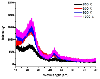 600 ℃ ~ 1000 ℃에서 탄화한 탄소나노입자의 XRD 그래프