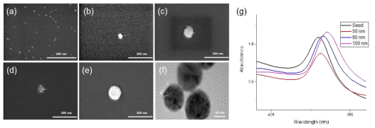 (a), (b) 13 nm, (c) 50 nm, (d) 80 nm, (e), 100 nm 금 나노입자의 SEM 이미지, (f) 13 nm 금 나노입자 TEM 이미지, (g) 각 금 나노입자의 UV-vis 흡수 스펙트럼