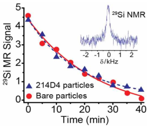 기존 실리콘 나노입자와 항체 표면기능화-실리콘 나노입자의 29Si DNP 신호 증폭 실험 결과