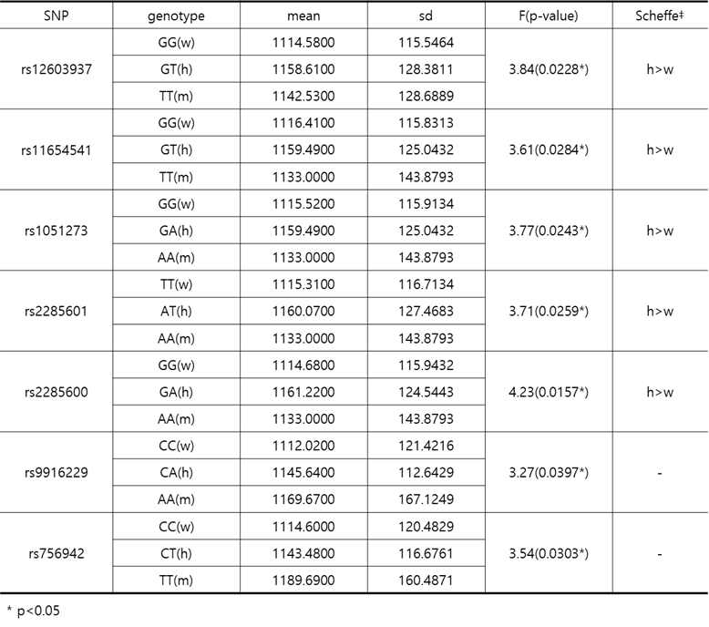 Codominant model에서 genotype별 BMR비교