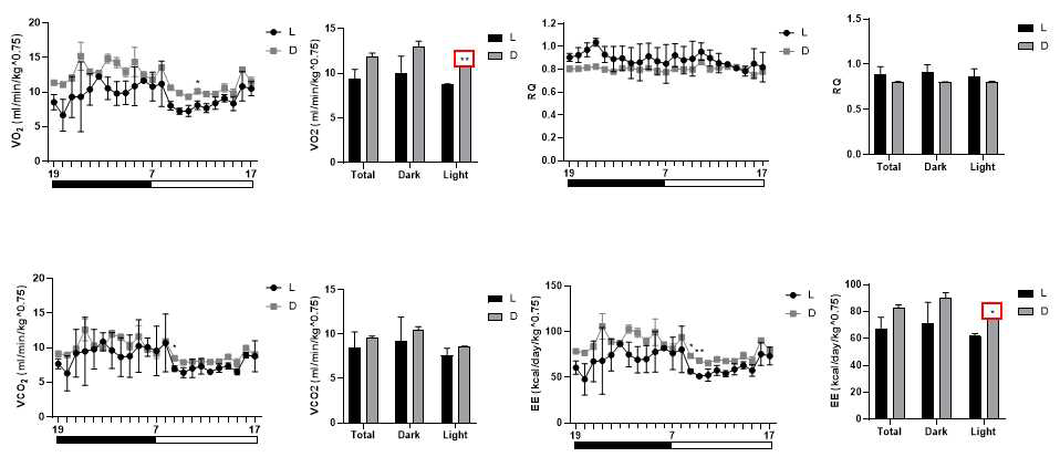 VO2 (ml/min), VCO2 (ml/min), total energy consumption(EE) and RQ