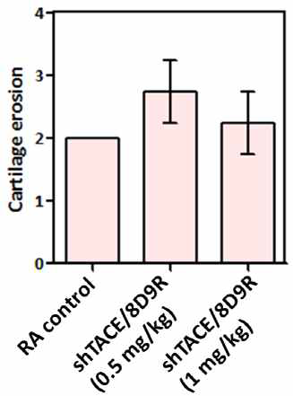 shTACE/8D9R 유전자/ 전달체 복합체 처리 뒤 조직학적 분석으로 판단한 연골 파괴 척도 점수