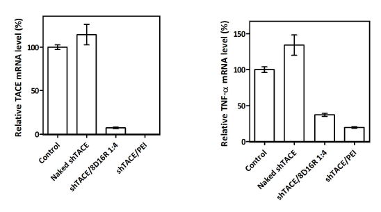 유전자치료제 shTACE/8D16R 복합체 처리 후 TACE 및 TNF-α 염증성 사이토카인의 mRNA 양