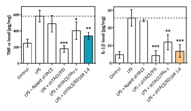 염증 상태로 유도된 마우스 유래 대식세포에서 유전자치료제 shTACE/8D16R 복합체 처리 후 TNF 및 IL-1β 염증성 사이토카인의 protein 양