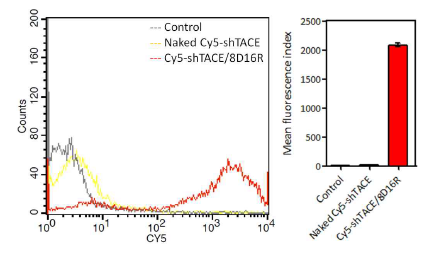 인간 유래 대식세포 (THP-1Cell line)에서 8D16R 전달체에 의한 Cy5 형광이 결합한 유전자 (Cy5-shTACE)의 세포 내 전달 정도를 FACS 분석을 통해 측정한 결과