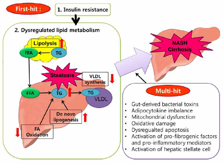 비알코올 지방간 기전: Multi-hit hypothesis