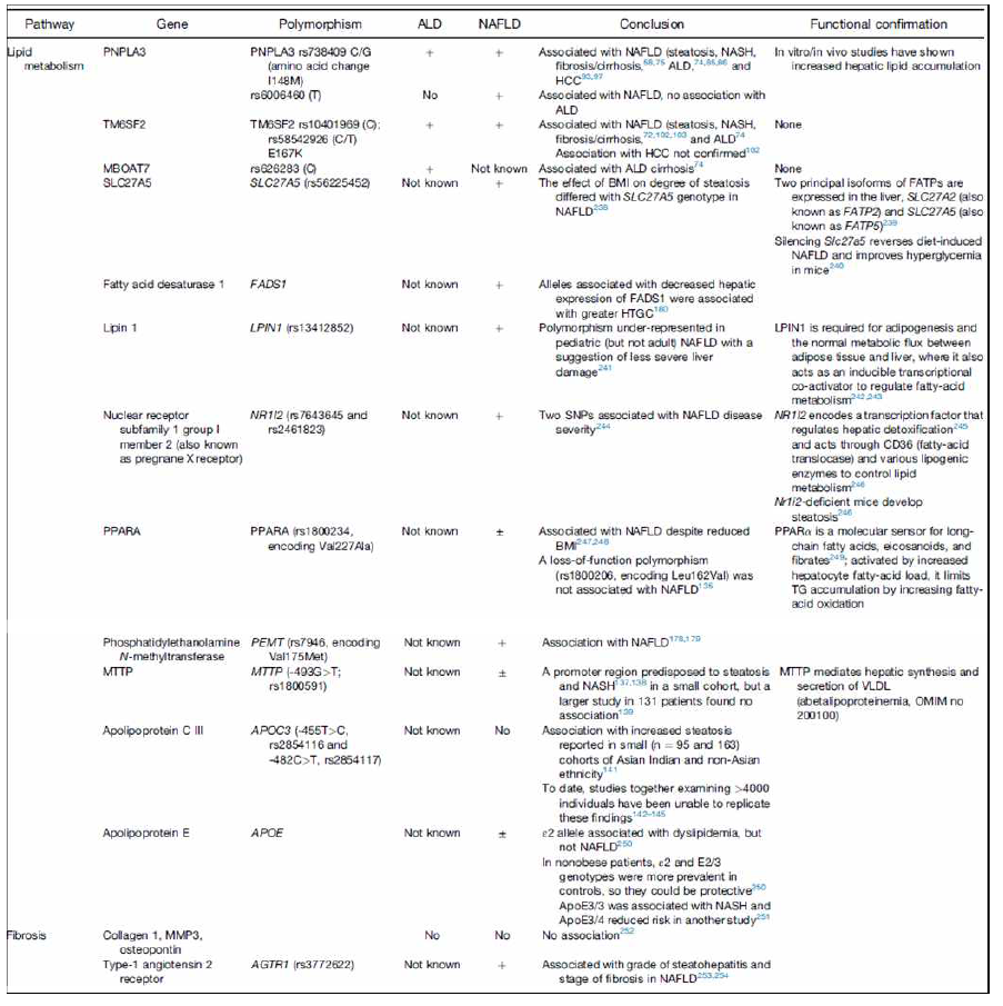 비알코올 지방간 관련 유전자