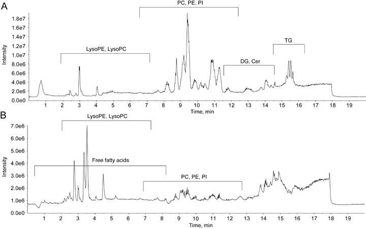 비알코올성지방간 환자의 혈청 시료의 대표 total ion chromatogram (A) positive mode (B) negative mode