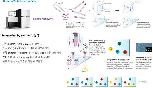 Illumina sequencer platform의 원리