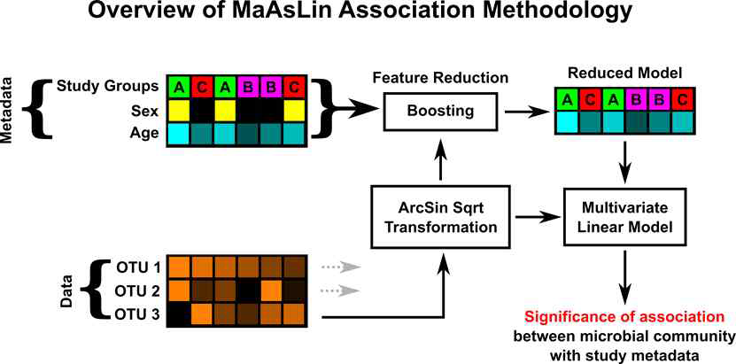 MaAsLin 분석도구의 작동원리