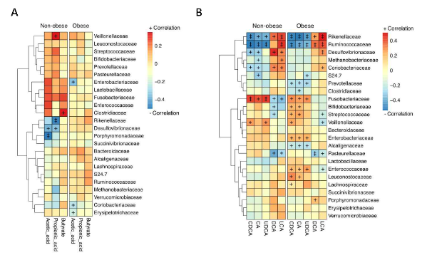 비만도로 나눈 대사체와 장내 마이크로비옴의 상관관계 분석 (A) 단쇄사슬지방산, (B) 담즙산, +P<0.05,⧧P<0.001