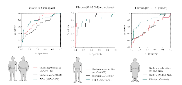 간섬유화 진단을 위한 마이크로비옴-대사체 마커의 AUROC 비교