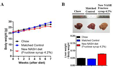 New NASH diet와 fructose syrup을 섭취시킨 mouse에서 몸무게와 간 변화 조사