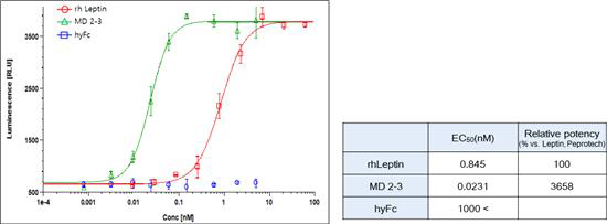 in vitro biological assay of hyFc-Leptin (MD 2-3)