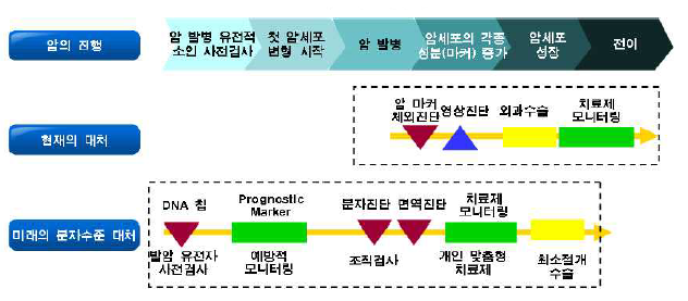 정밀의학 발전에 따른 암환자의 개인 맞춤형 치료 효율 증진