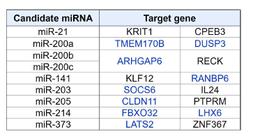참고문헌을 통해 선별된 microRNA와 표적 유전자