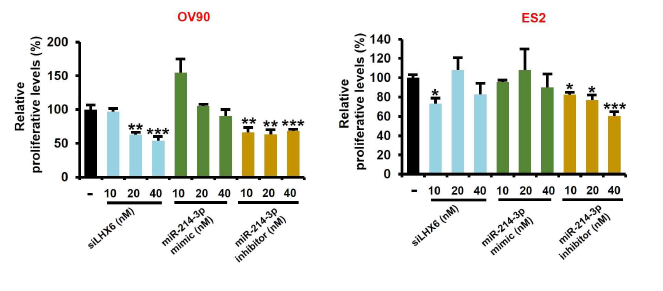 LHX6 siRNA (siLHX6) 및 miR-214-3p mimic, inhibitor transfection에 따른 난소암 세포 증식력 변화