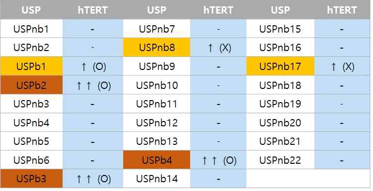 보유중인 27종 USP 효소들의 1:1 스크리닝에 의한 hTERT 타깃 USP 규명 및 조절효과 분석 정리표 제시