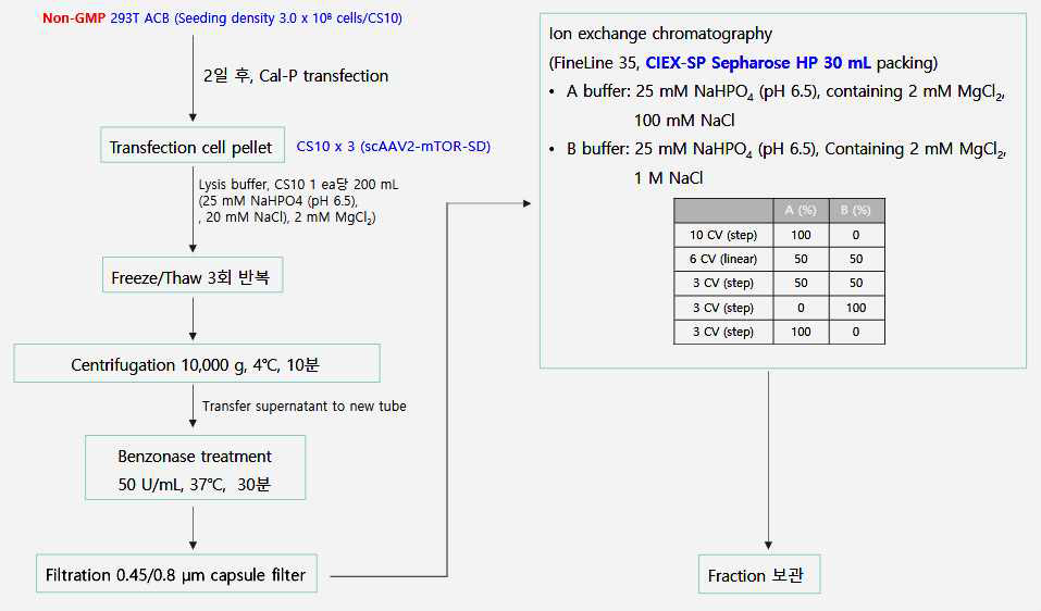 AAV2-shmTOR-SD 벡터 GMP 제조 downstream 공정 개발 전략