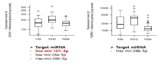 EMT, regeneration 동시 관련 있는 유전자의 타깃 miRNAs