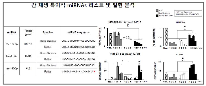 만성 간질환 동물에서 줄기세포 이식 전후에 따른 간 재생능 특이적 마이크로RNA와 타겟 유전자 분석