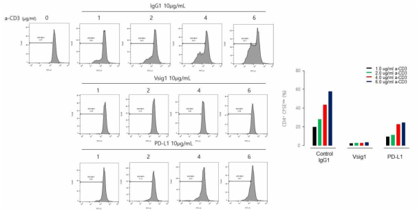 Vsig1에 의한 T 세포 활성화 저해 재현 결과