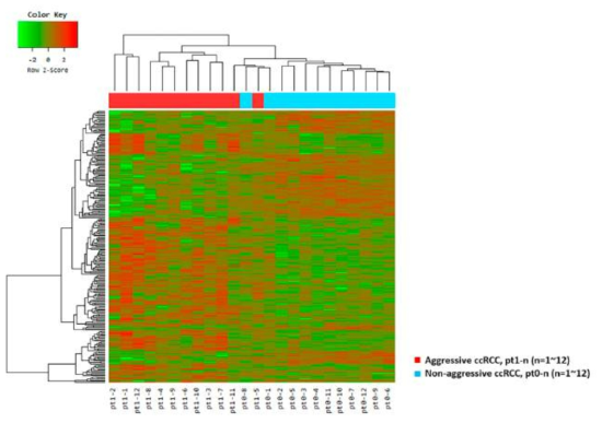 Unsupervised hierarchical clustering analysis (red, high relative expression; green, low relative expression) in aggressive clear cell renal cell carcinomas (ccRCC) patients (n = 12, red) versus matched pairs of non-aggressive ccRCC patients (n = 12, blue) based on 251 differentially expressed genes