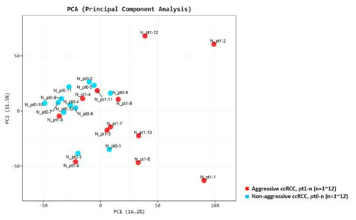 Principal component score plots. First and second principal component scores in patients with aggressive ccRCC (n = 12, red) versus matched patient pairs with non-aggressive ccRCC (n = 12, blue) are plotted