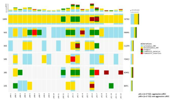 Frequency of candidate gene mutations in the patient cohort, and comparison of those in aggressive and non-aggressive ccRCC