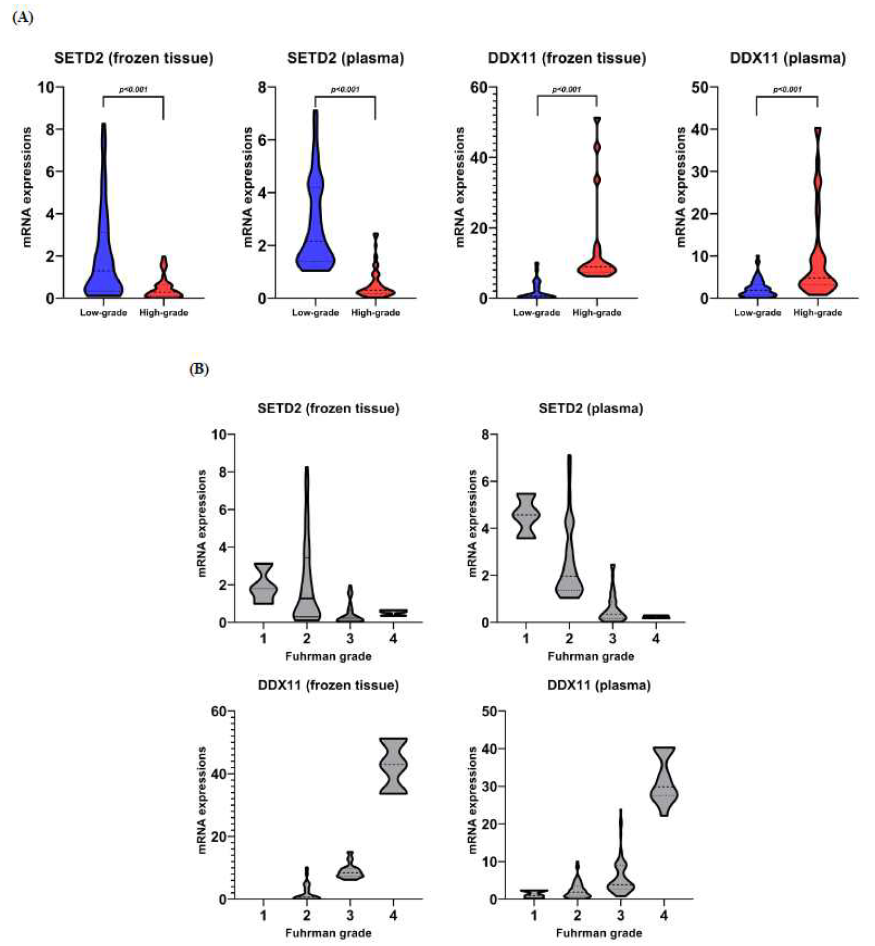 SETD and DDX11 mRNA levels in frozen tissue and plasma. A. low-grade vs. high-grade B. Fuhrman grades