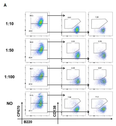 MSC의 B세포 억제능 검증 : A, MSC를 비율에 따라 B220+ B 세포의 분열이 억제되는 것과 분화를 억제하는 것을 관찰함