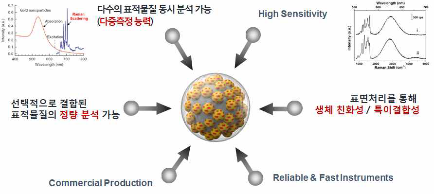 개발된 SERS dot의 특성