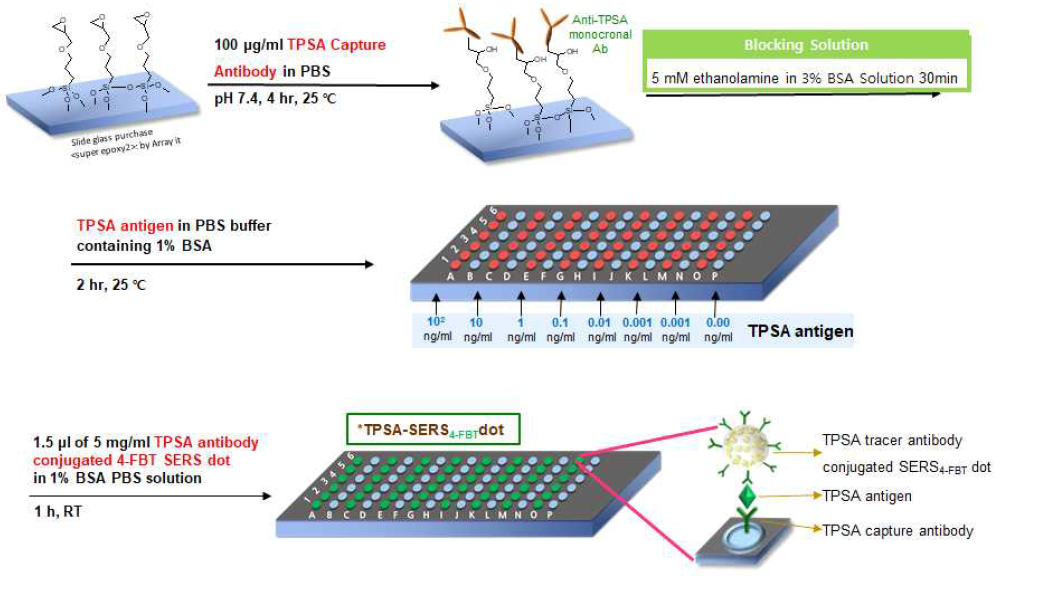 본 연구진에서 개발한 Chip assay 기반의 면역분석 방식