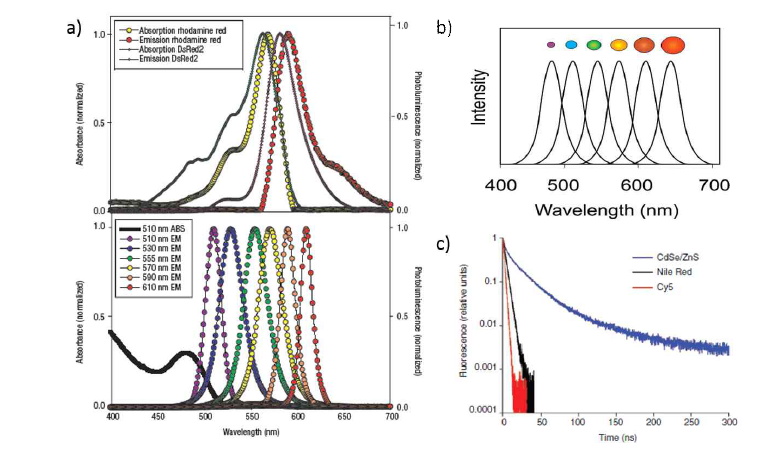 양자점의 특성 a) 일반적인 형광 물질들의 흡수, 방출 스펙트럼 (위) 과 양자점의 흡수, 발광 스펙트럼 (아래), (b) 크기에 따른 양자점의 발광 파장 변화, (c) 시간에 따른 일반 형광 물질과 양자점의 형광 신호 비교