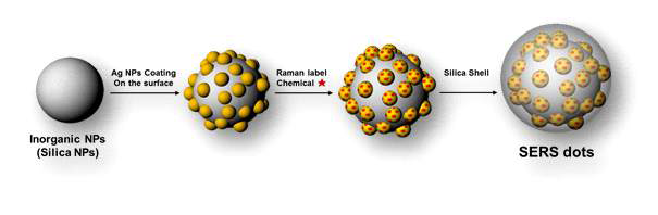 본 연구에서 사용할 SERS dot의 합성 과정