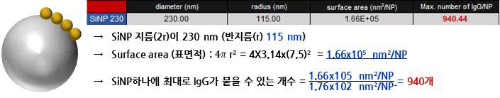 실리카 나노입자 표면에 항체가 최대로 붙을 수 있는 개수