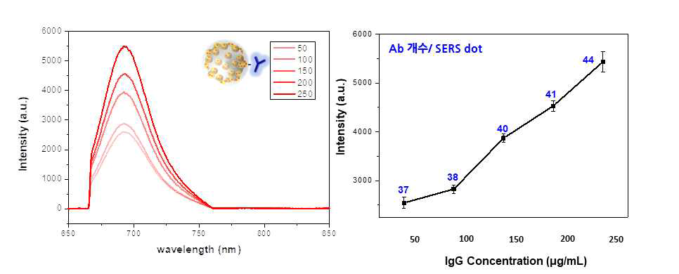 SERS dot 나노입자의 농도에 따른 형광 스펙트럼과 농도별 최대 형광 세기