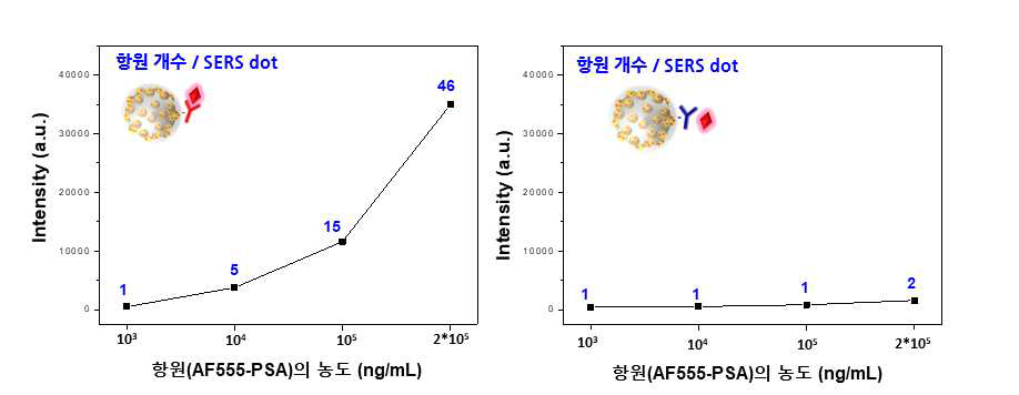 농도별 SERS dot 나노프로브 1개당 결합한 항원의 개수