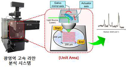 본 연구진에서 개발한 광영역 고속 라만 분석 시스템의 모식도