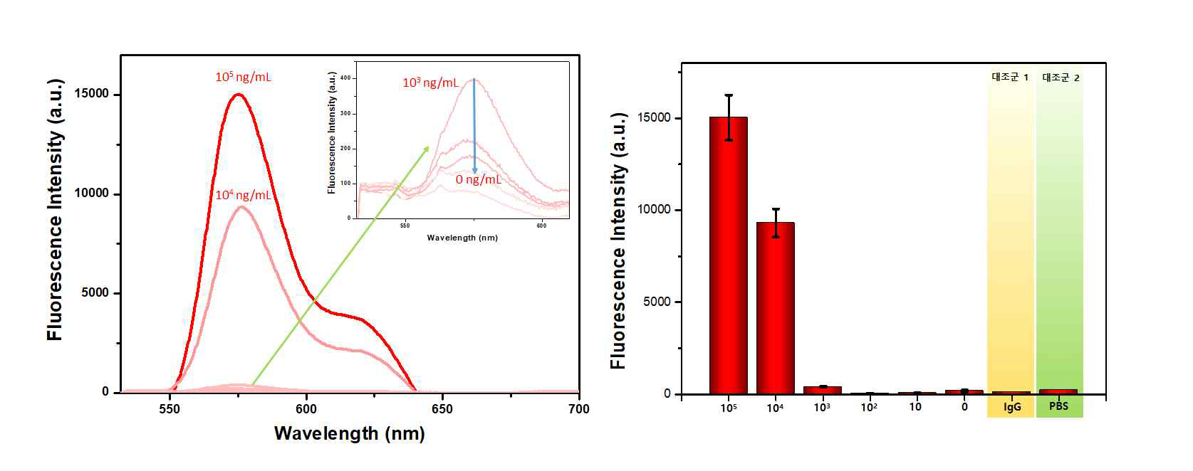 항체에 고정된 항원의 농도별 형광 스펙트럼(좌)과 형광 세기의 최대값(우)