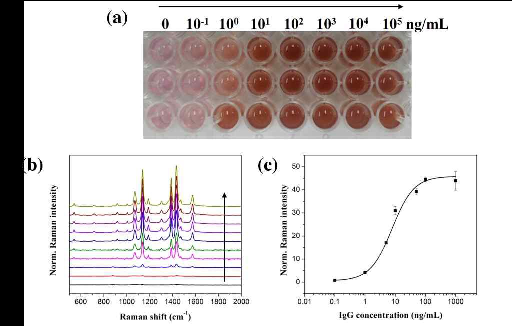 SiO2@Au-4-ATP, AgNO3 (10 mM)의 존재하에 0.1 ng/mL에서 100 μg/mL 범위의 IgG의 효소 증폭 면역 흡착 분석 : (a) 비색 변화, (b) SERS 스펙트럼 및 (c) 점진적인 IgG 농도를 갖는 SERS 강도 곡선. 화살표는 IgG 농도가 0에서 0.1, 1.0, 5.0, 10.0, 50.0, 100.0, 1,000, 10,000 및 100,000 ng/mL 사이에서 사용됨을 나타냄