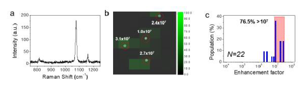 단일 입자의 Ag NGS의 Raman signal분석