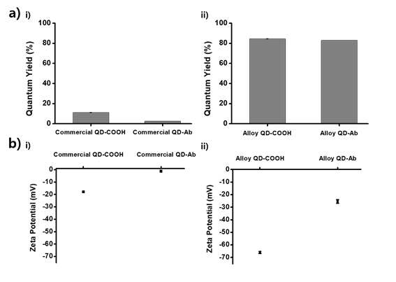 a) 양자 효율 측정, i)상업적 합금형 양자점, ii)새로운 합금형 양자점. b) 제타 전위 측정, i)상업적 합금형 양자점, ii) 새로운 합금형 양자점
