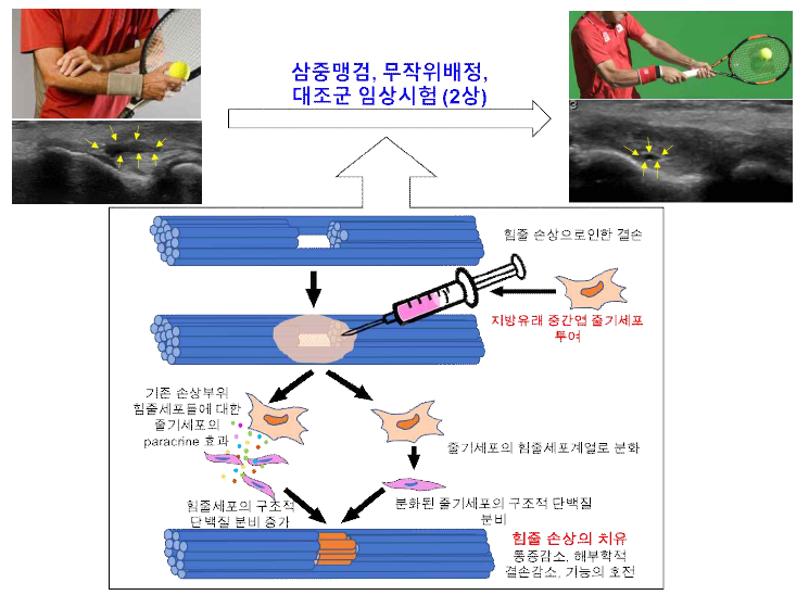 연구 개발 기본 개념도